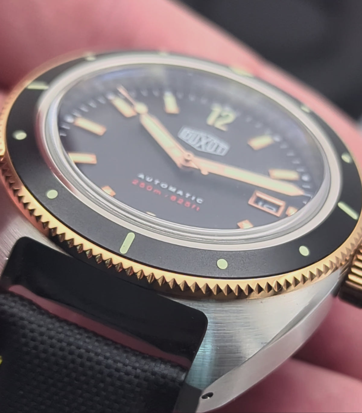 Duxot Fortius DX-2019 Automatic Diver – Black Dial, Two-Tone, DASSARI Strap