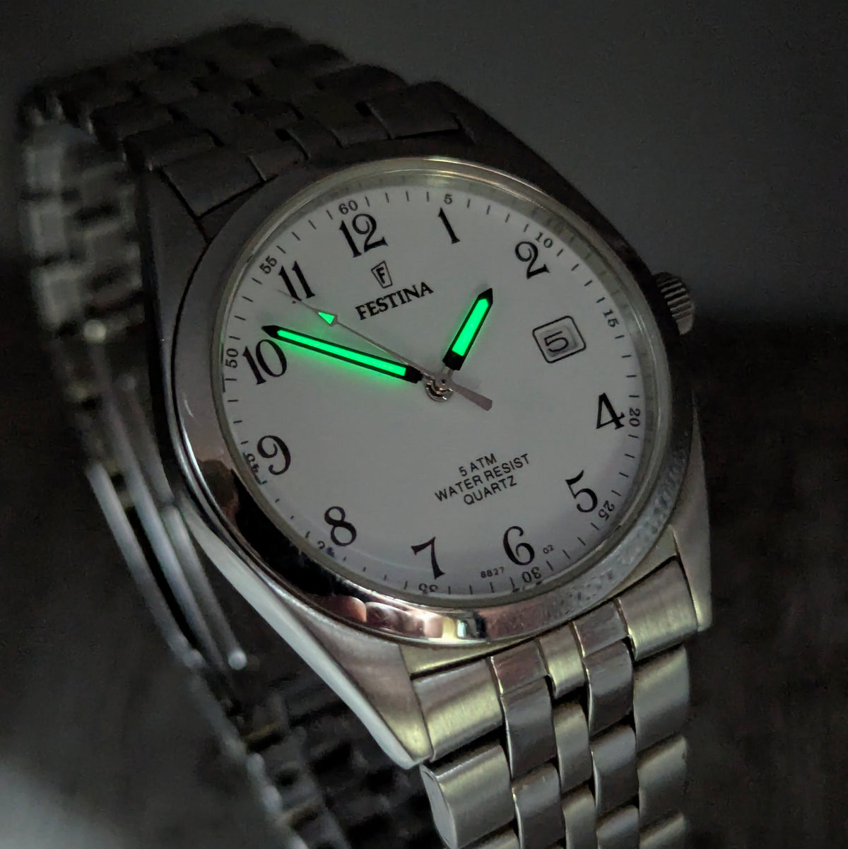 Festina 8827 Men's Stainless Steel Quartz Watch - Bezel & Hide