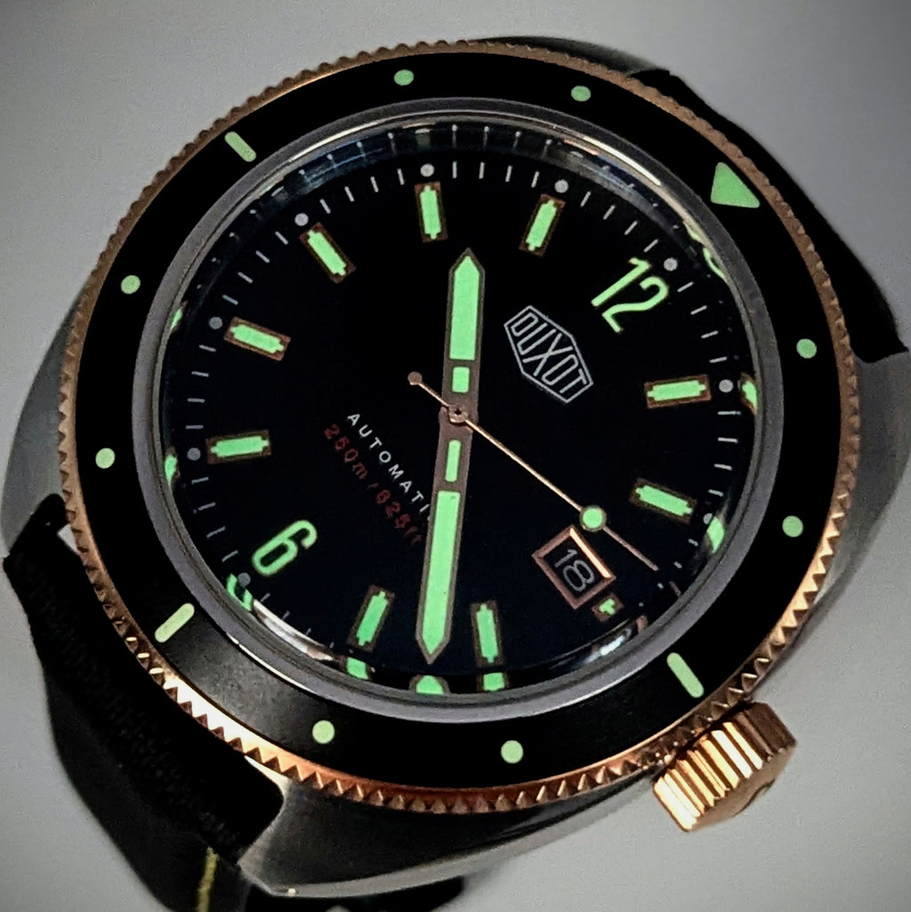 Duxot Fortius DX-2019 Automatic Diver – Black Dial, Two-Tone, DASSARI Strap